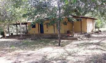 Imagem 3: Sitio Brejinho com riacho perene