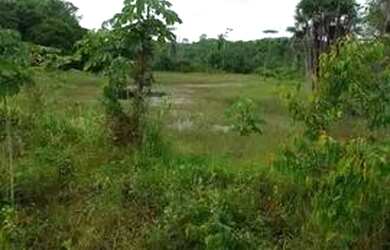 Imagem 6: 100 hectares com igarapé a margem da rodovia próximo a Belém