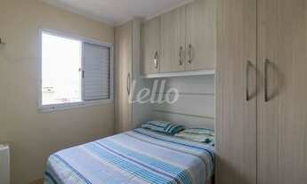 Imagem 7: São Paulo - Apartamento Padrão - Vila Formosa