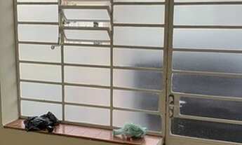 Imagem 5: São Paulo - Casa Padrão - Casa Verde