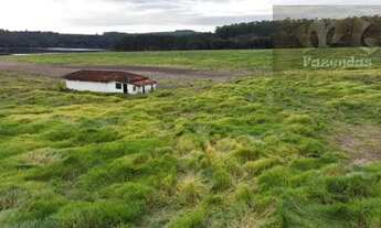Imagem 6: Fazenda na Região de Angatuba 60 alqs toda em laranja