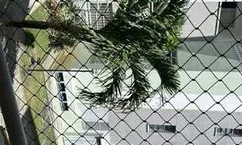 Imagem 3: APARTAMENTOS BEM LOCALIZADOS