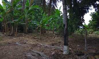 Imagem 3: Chácara Chácara com venda por R$100.000