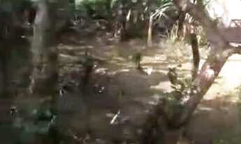 Imagem 2: Vendo Casa em Itariri