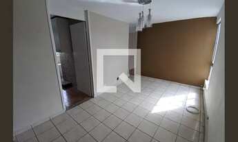 Imagem 3: Apartamento para Aluguel - Jardim Iris , 2 Quartos, 46 m2