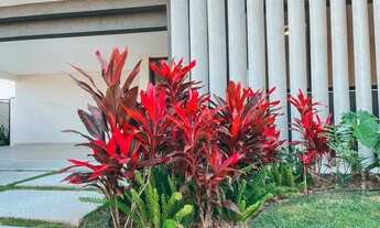 Imagem 2: Sobrado Novo com sauna e piscina + área gourmet de 4 suíte à Venda em Alphaville São José