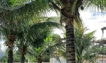 Imagem 4: FLORIANóPOLIS - Casa Padrão - Lagoa da Conceição