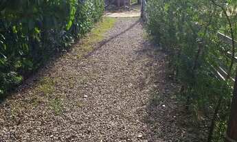 Imagem 2: Casa com terreno