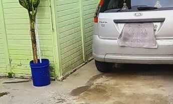 Imagem 3: Casa para trocar