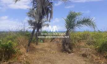 Imagem 6: Área Praia do Patacho, Porto de Pedras Alagoas
