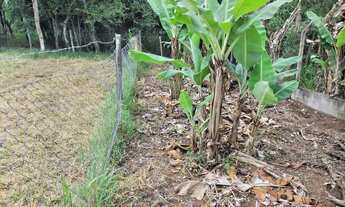 Imagem 2: Vendo chacara bem localizada .ibiuna