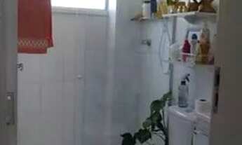 Imagem 7: Vale do Cotinguiba 57999