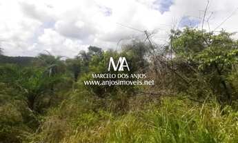 Imagem 7: Área Praia do Patacho, Porto de Pedras Alagoas