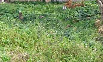 Imagem 2: FLORIANóPOLIS - Terreno Padrão - Carvoeira