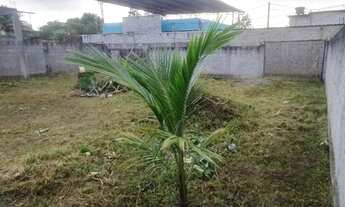 Imagem 3: OPORTUNIDADE! VENDO TERRENO EM PIABETA