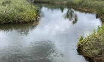 Imagem: Excelente fazenda de 115 t, com duas casas