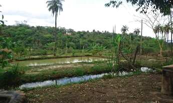 Imagem 3: Terreno 13.000 m², agua nos fundos, poço de peixe, fogão a lenha, terra ideal pra plantio