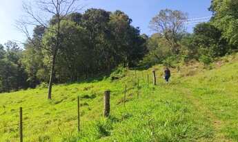 Imagem 4: Chácara em Lindoeste