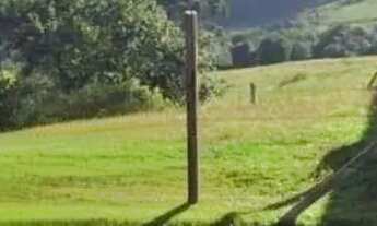 Imagem 7: Área Residencial à venda -Loteamento Itaboa - Campo Largo/PR