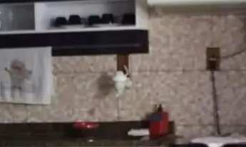 Imagem 6: Casa para Venda em Florianópolis, Campeche, 2 dormitórios, 2 banheiros, 3 vagas