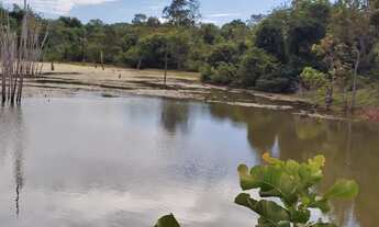 Imagem 6: Fazenda 137 Alqueires na Lavoura!