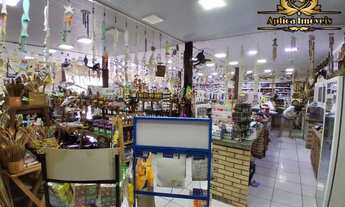 Imagem 6: Imóvel comercial à venda na Rodovia Transbeto, São Cristóvão, Penha - SC