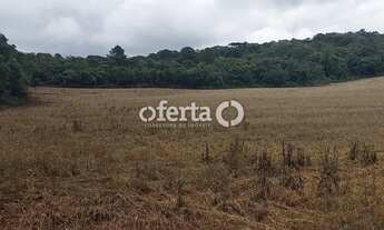 Imagem 2: Fazenda/Terreno na Lapa 22,5 alqueires