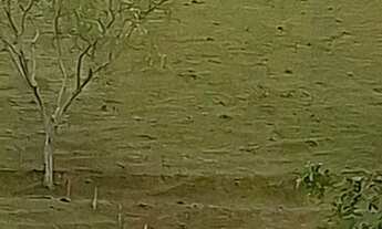 Imagem: VENDO LINDA PROPRIEDADE 17 ALQUEIRES. CAMPOS