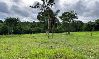 Imagem 3: Terra boa em Heitoraí( ótima estrutura