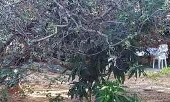 Imagem 2: Terreno de 730m² à venda em Jardim Palmeiras Montes Claros -MG