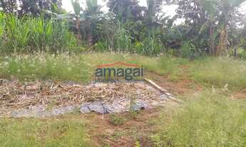 Imagem 5: Chácara à venda