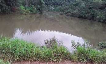 Imagem 5: Fazenda de 250 alqueires cocalzinho-go