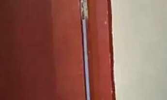 Imagem 7: PESQUEIRO BEIRA DO RIO - BARÃO DO MELGAÇO