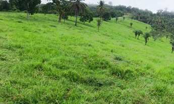 Imagem 4: Terreno situado em Marechal Deodoro- AL na beira da Lagoa com 41 hectares