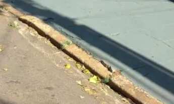 Imagem: ALUGA - SE CASA - VILA MARISTELA