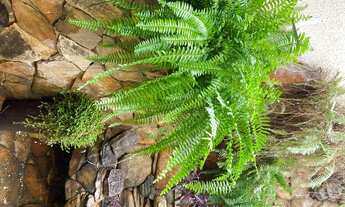 Imagem 4: Quartos mobiliados próximo ao hospital Santa Casa