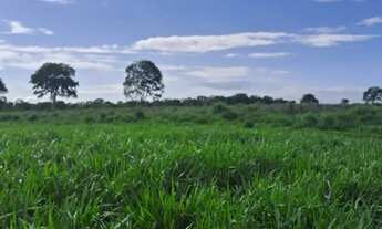 Imagem 4: FAZENDA 222 ALQUEIRES EM PORANGATU GO