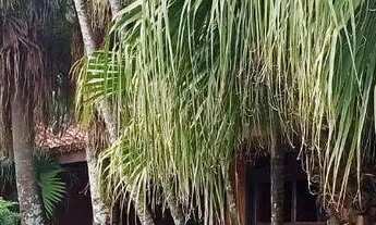 Imagem: Chácara com 4 dormitórios à venda, 3285