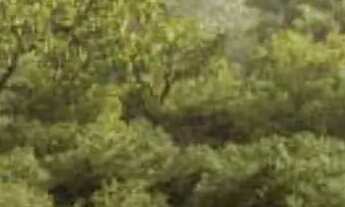 Imagem 3: Lote com valor abaixo de tabela no Aura Legano