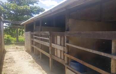 Imagem 4: Baia para cavalo