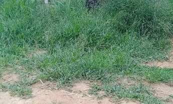 Imagem 2: Terreno a venda Terreno / lote com venda por R$20.000