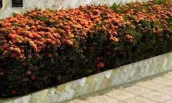 Imagem: Casa recanto vinhais