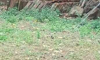 Imagem 7: Chácara de 7 Alqueires em Heitoraí-GO