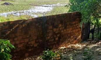 Imagem 3: Vendo casa com terreno grande em Sto Amaro do - MA