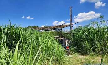 Imagem 5: COMERCIAL - VILA SÃO CRISTÓVÃO - SP