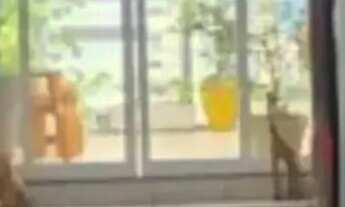 Imagem 5: Apartamento à venda no CASARAO DO APIPEMA, JARDIM APIPEMA, Salvador, BA