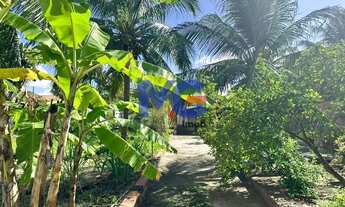 Imagem 6: Chácara com 2.400m² com 03 Quartos no Bairro Parque da Tijuca - Maracanaú -CE