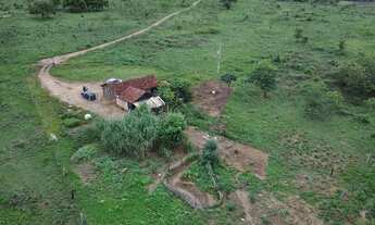 Imagem 4: Sítio - 25 hectares