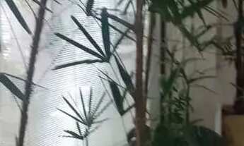 Imagem 4: Casa comercial com 315 metros AC, 8 salas, 6 WC's, 3 vagas - Pq . Continental