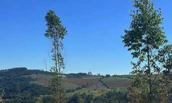 Imagem 5: Terreno Pronto para Construir em Ibiúna venda possui 500 metros quadrados em Colégio - Ib